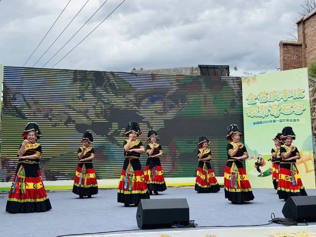 铁柳镇首届芒果采摘节启幕:农文旅融合绘就和美乡村新景插图 铁柳镇首届芒果采摘节启幕:农文旅融合绘就和美乡村新景插图