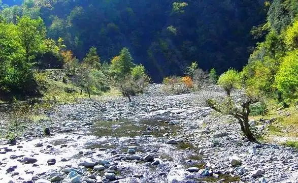 老君滩乡:山水之间展新貌,特色发展谱新篇插图1 老君滩乡:山水之间展新貌,特色发展谱新篇插图1