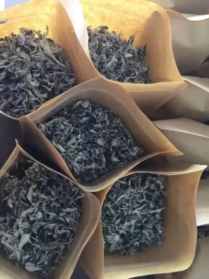 老君滩乡:山水之间展新貌,特色发展谱新篇插图3 老君滩乡:山水之间展新貌,特色发展谱新篇插图3