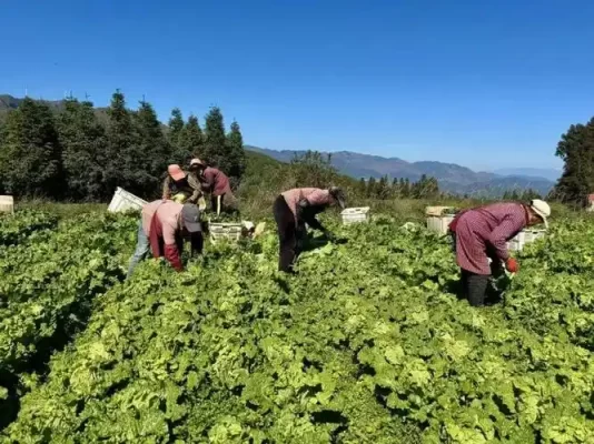 满银沟镇:高山河谷间的发展新篇插图 满银沟镇:高山河谷间的发展新篇插图