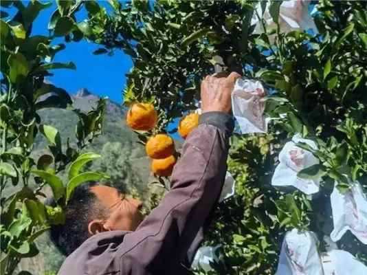 满银沟镇:高山河谷间的发展新篇插图1 满银沟镇:高山河谷间的发展新篇插图1