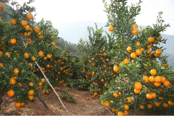 满银沟镇:高山河谷间的发展新篇插图3 满银沟镇:高山河谷间的发展新篇插图3