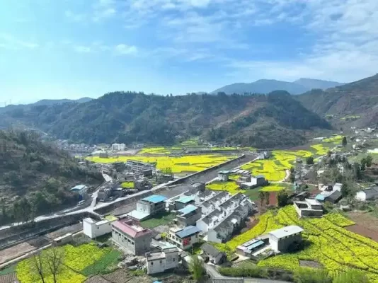四川会东江西街乡:历史与现代交织的活力乡镇插图 四川会东江西街乡:历史与现代交织的活力乡镇插图