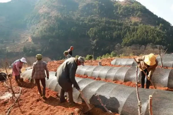 四川会东江西街乡:历史与现代交织的活力乡镇插图2 四川会东江西街乡:历史与现代交织的活力乡镇插图2