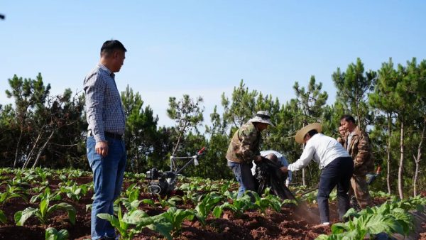 凉山州布拖县贫困人口现状与脱贫路径深度解析-会东网
