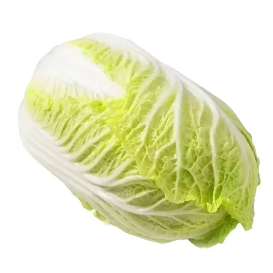 大白菜种植种植技术全攻略:从选种到收获的完整指南-会东网