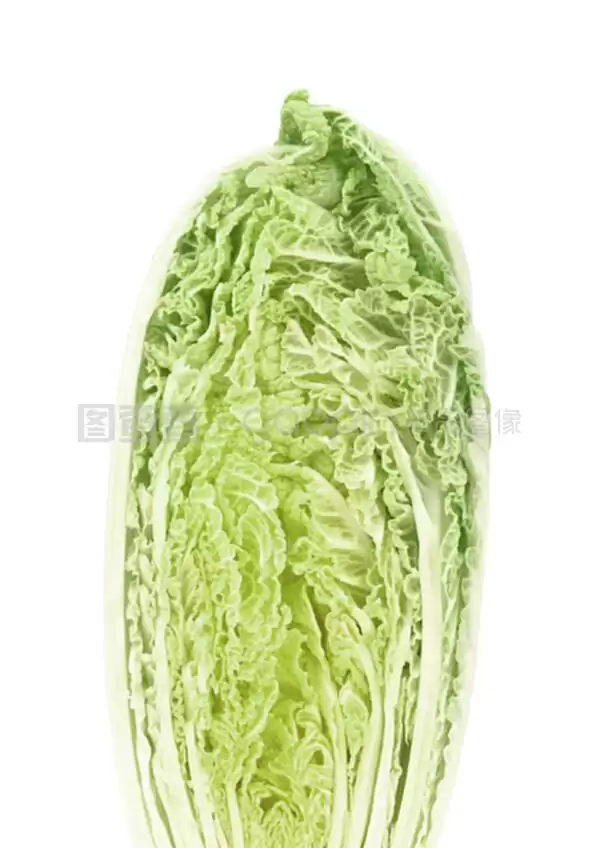 现在种大白菜早吗？最佳种植时间解析-会东网