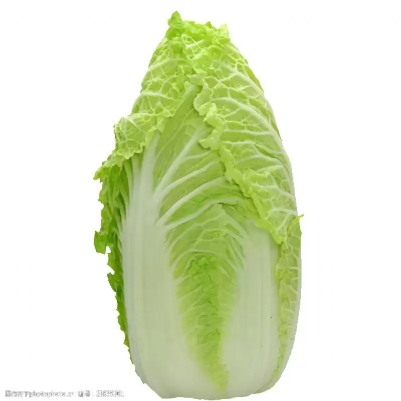 北方几月份种萝卜白菜？最佳种植时间全解析-会东网