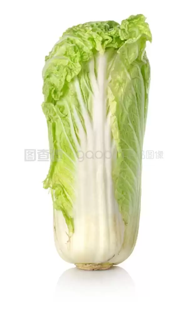 白菜种10克大约多少粒?10克白菜种子数量解析-会东网