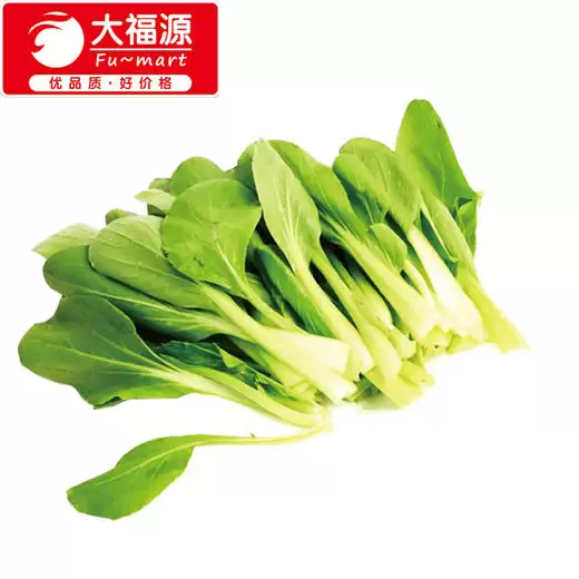 大白菜啥时候种好？最佳种植时间全解析-会东网