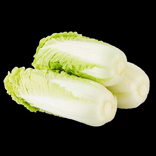 什么季节种白菜好?最佳种植时间与技巧全解析-会东网