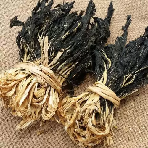 今年什么时间种白菜最佳？2024年白菜种植时间全攻略-会东网