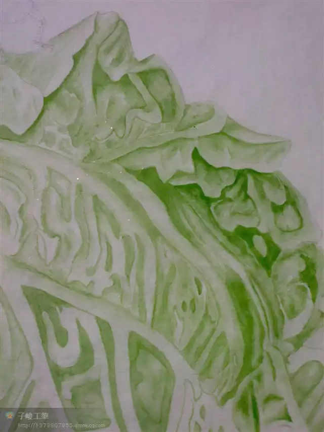 种白菜的地第二年还可以种白菜吗?连作障碍与轮作技巧解析-会东网