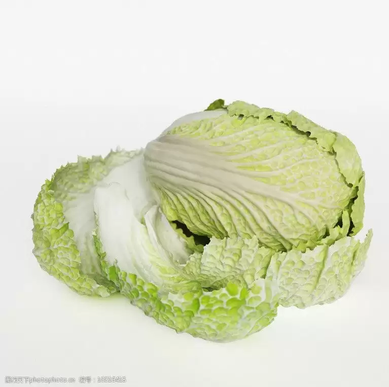 夏天种的白菜品种推荐:耐热高产好选择-会东网