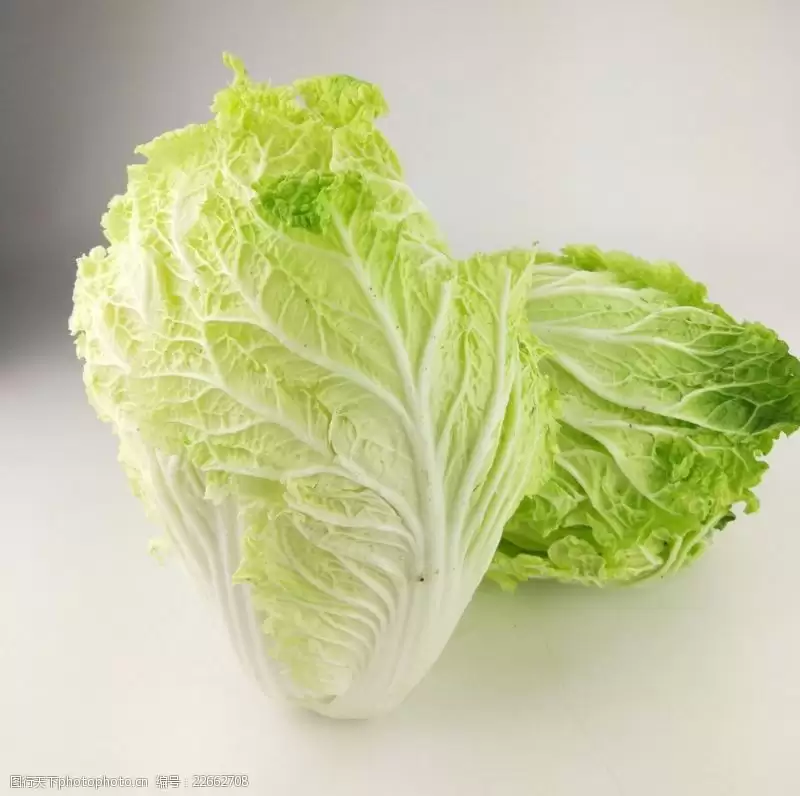 白菜几月份种最合适?最佳种植时间全解析-会东网