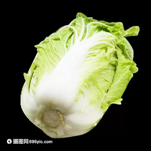 白菜怎样种植最好？掌握这5个技巧轻松高产-会东网