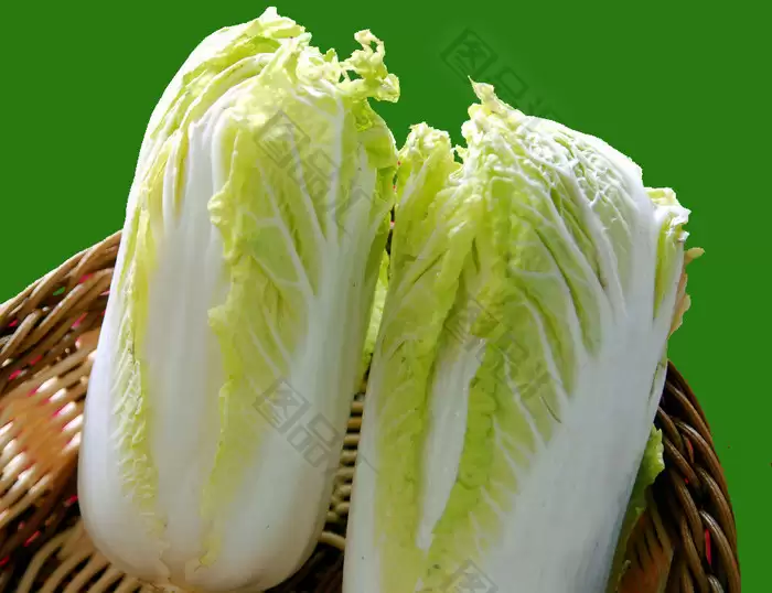 种上白菜几天出苗?掌握这5个关键点让白菜快速发芽-会东网