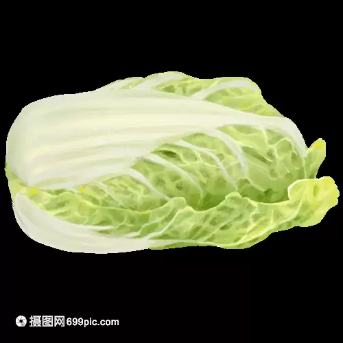 白菜是怎样育种的?揭秘白菜育种全流程与技术要点-会东网