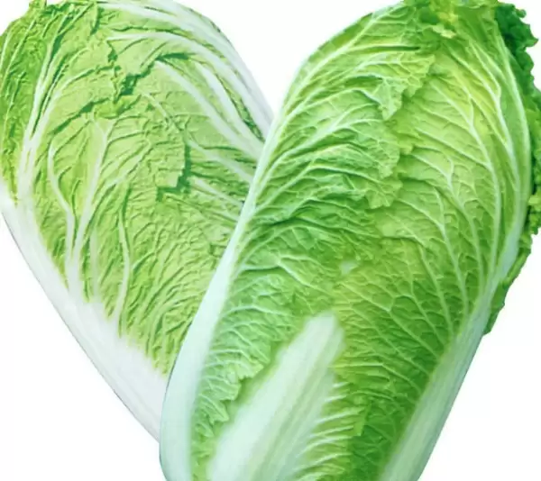 小白菜什么时候种植最好?小白菜最佳种植时间全解析-会东网