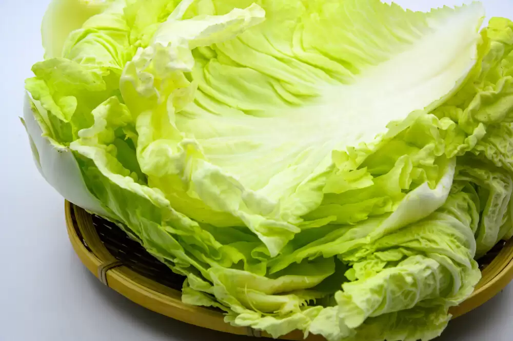 小白菜种白菜看图写话：轻松掌握种植技巧与写作方法-会东网