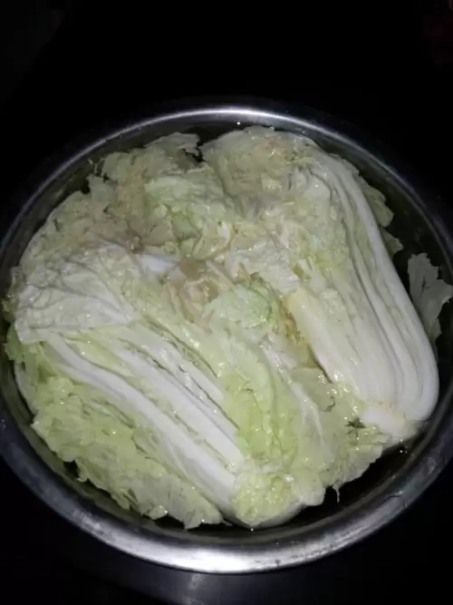 陈白菜籽可以种吗?老菜籽种植技巧全解析-会东网