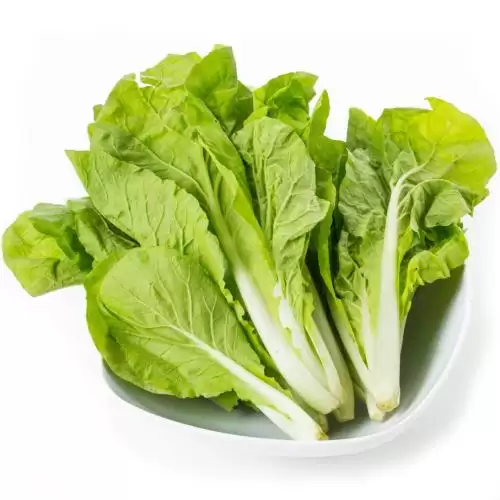 夏天白菜品种推荐:耐热高产好选择-会东网