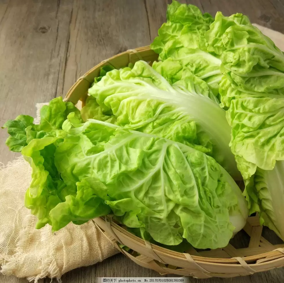 怎样种小白菜种子？新手必看的5个关键步骤-会东网