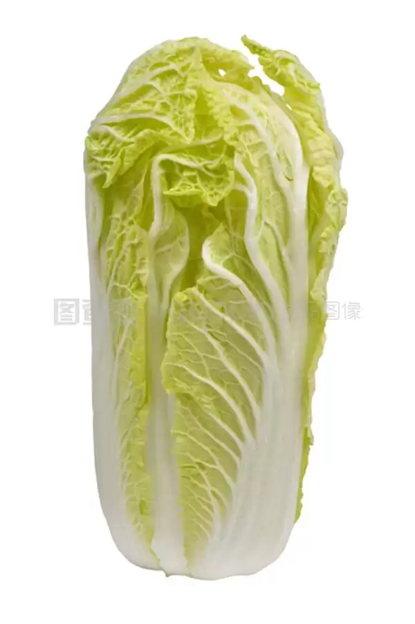 小白菜种子怎么种(小白菜种植全攻略)-会东网