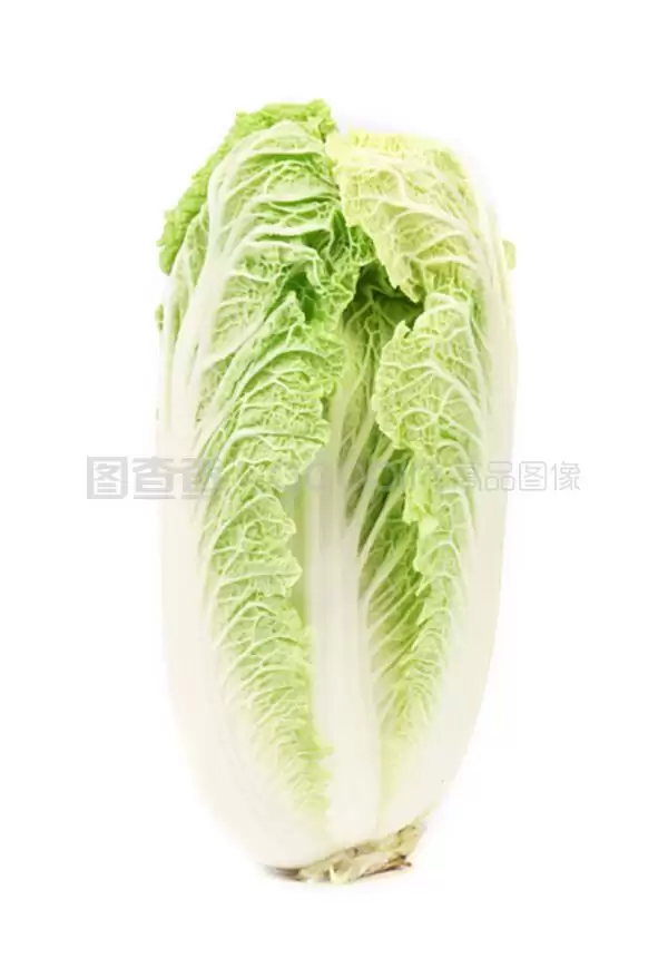 今年种大白菜怎么样?2024年白菜种植前景与效益分析-会东网