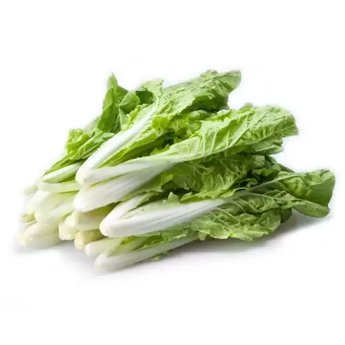 小白菜种怎么种(小白菜种植方法全解析)-会东网