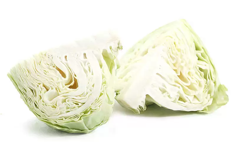 麻叶青白菜种植技术全解析(麻叶青白菜高产栽培指南)-会东网