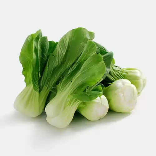 春白菜种子选购指南:高产优质品种推荐-会东网