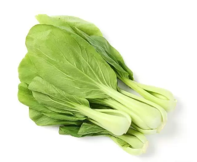 夏白菜的种植方法和时间全解：从选种到收获的完整指南-会东网