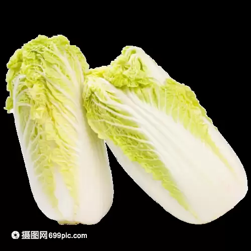 怎么用白菜种白菜？家庭种植白菜的简易方法-会东网