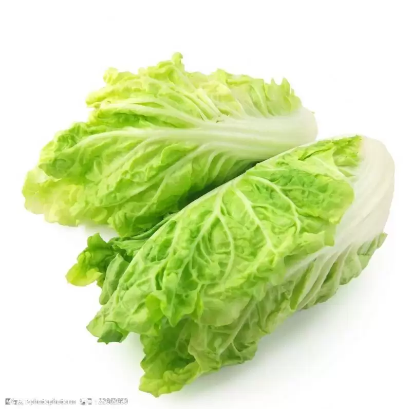 种白菜用什么肥最好？5种高效肥料推荐与使用技巧插图2