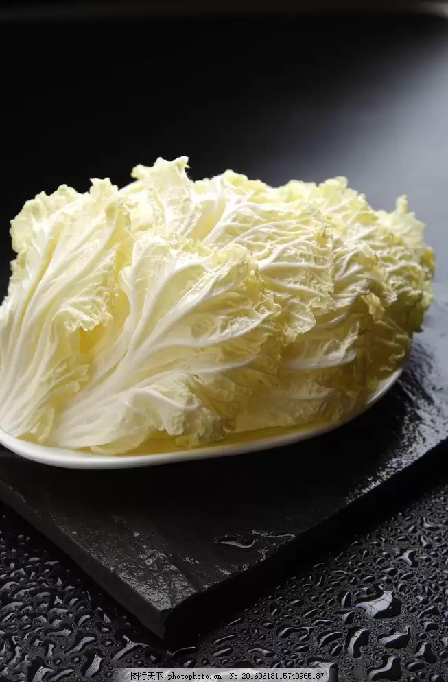 种白菜是什么季节?最佳种植时间与技巧全解析-会东网