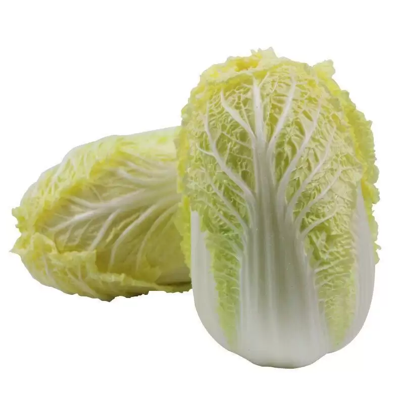 白菜是几月份种?最佳种植时间全解析-会东网