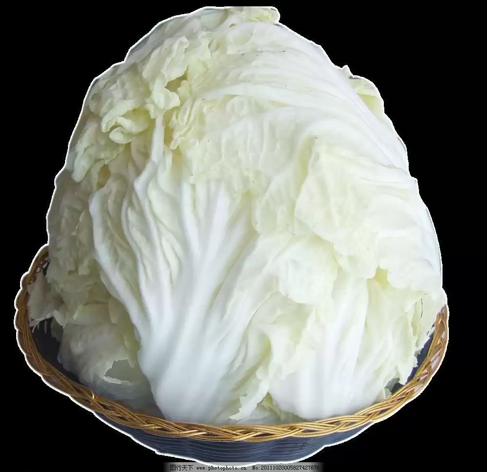 种白菜要起垄吗？起垄种植白菜的5大优势解析-会东网