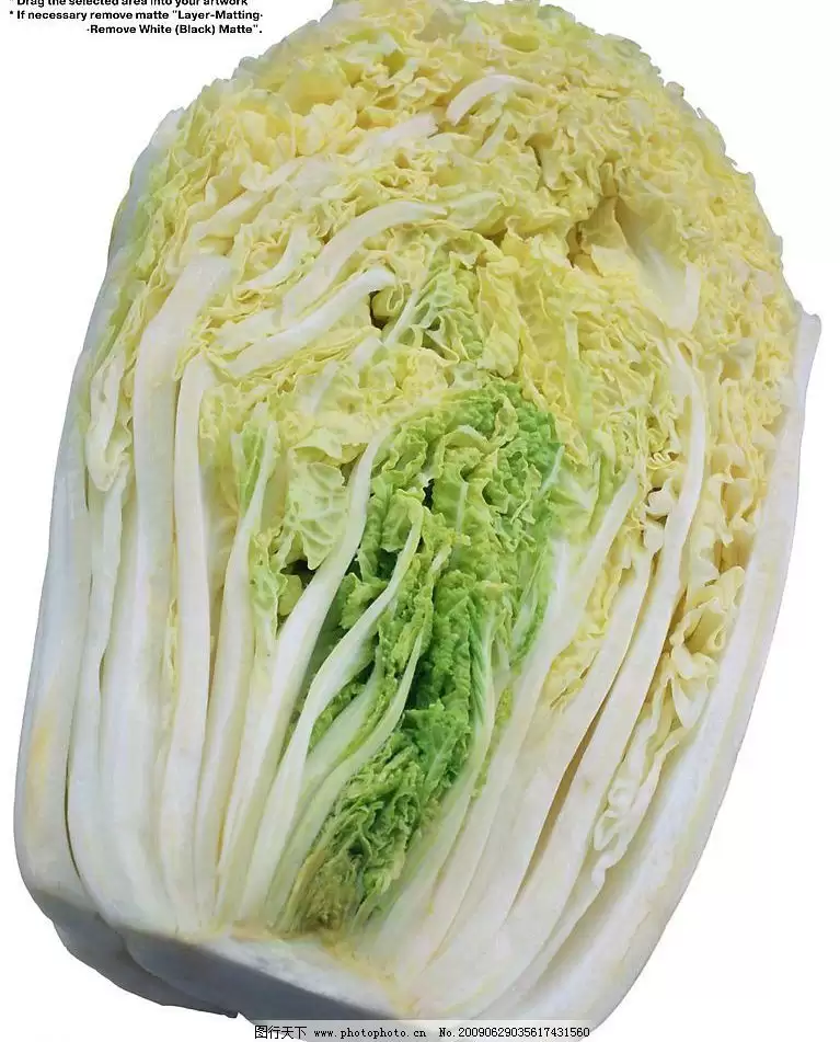 头伏种白菜行吗？头伏种白菜的最佳时间与技巧解析-会东网