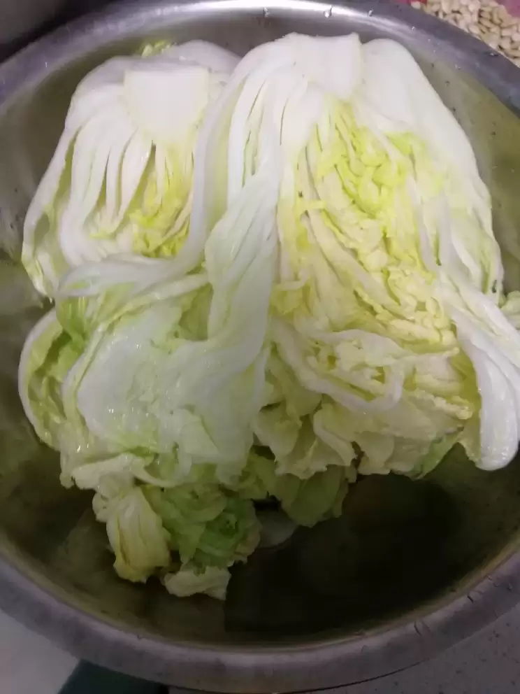 小白菜的种植过程详解:从选种到收获全攻略-会东网