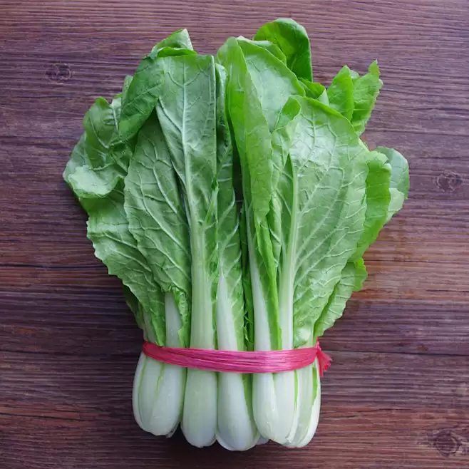 白菜萝卜什么时候种?最佳种植时间及技巧全解析-会东网