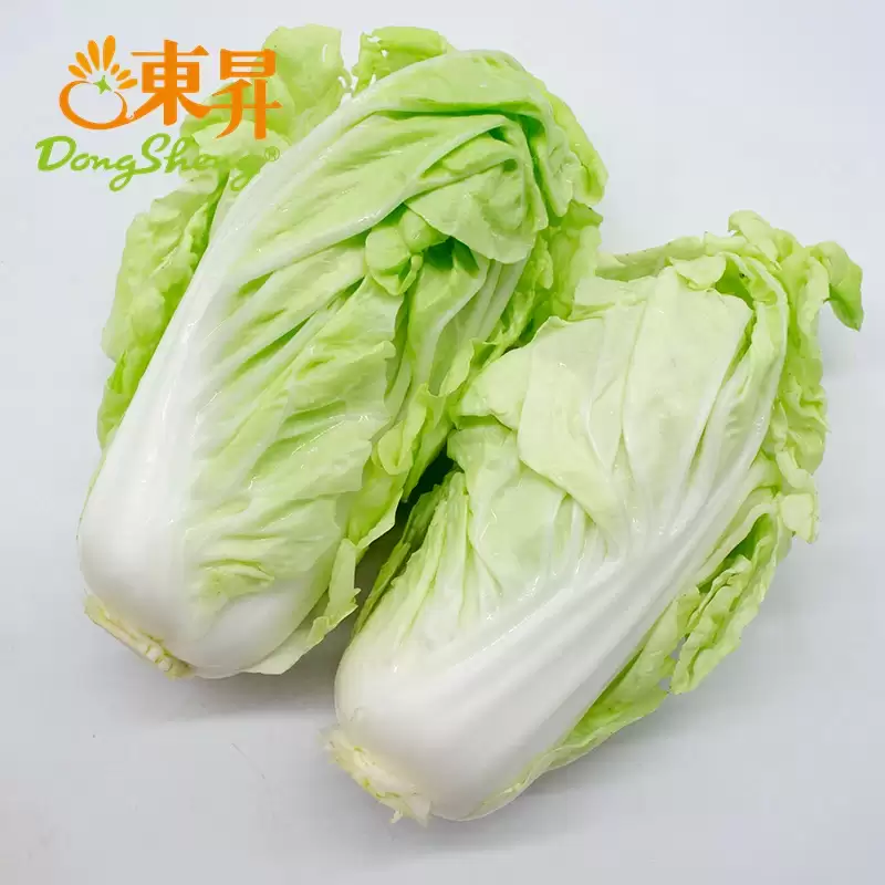 几月份种白菜最合适？最佳种植时间全解析-会东网