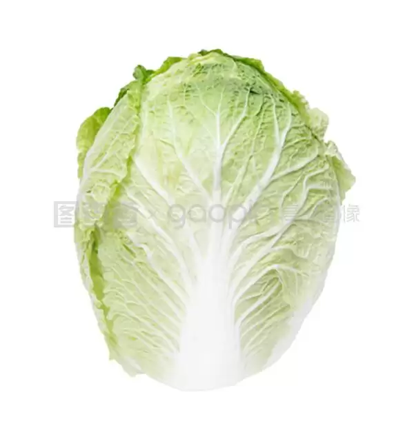 高脚白菜种植时间和方法全解析(附高产技巧)-会东网