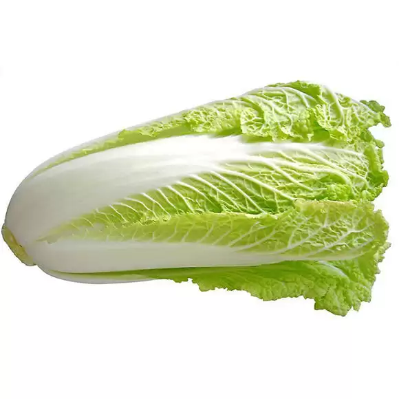 大白菜什么时候种什么时候收?最佳种植与收获时间全解析-会东网