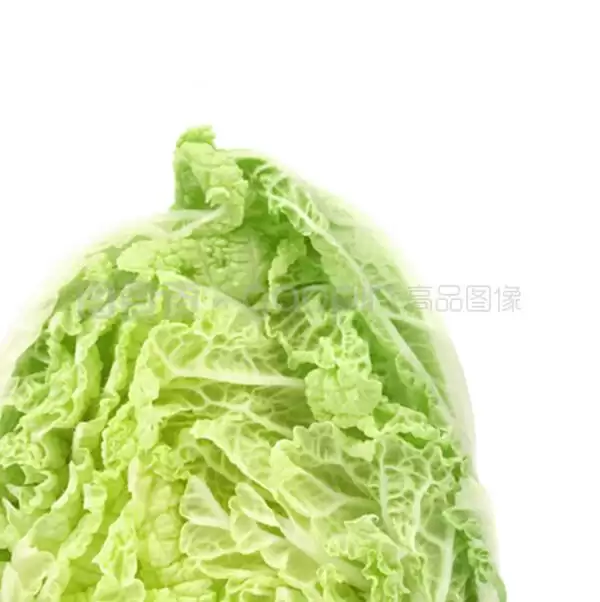 河北啥时种白菜最合适?最佳种植时间全解析-会东网