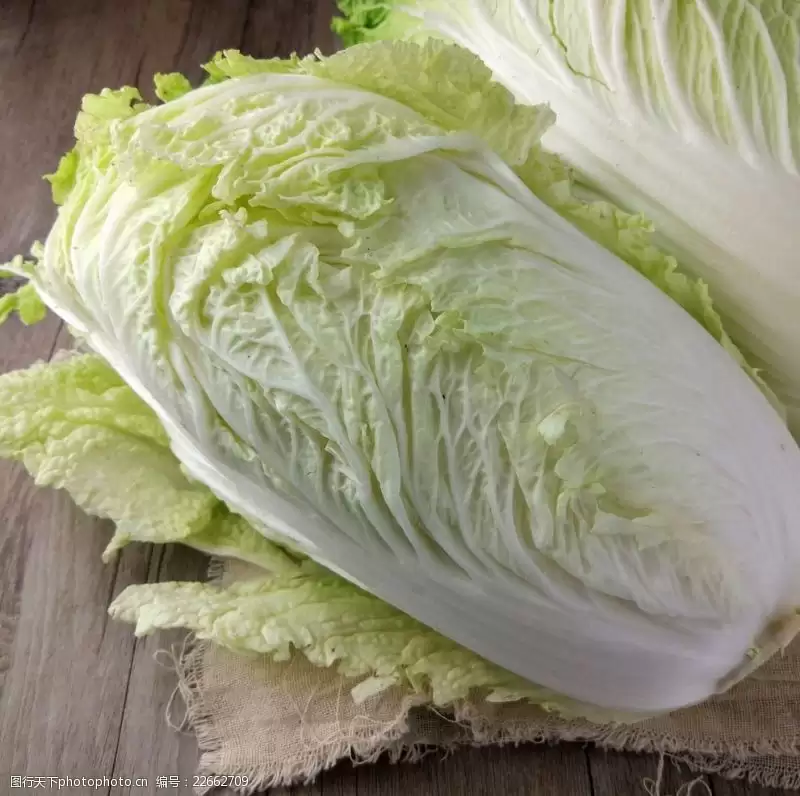 圆白菜有几种?常见品种全解析-会东网