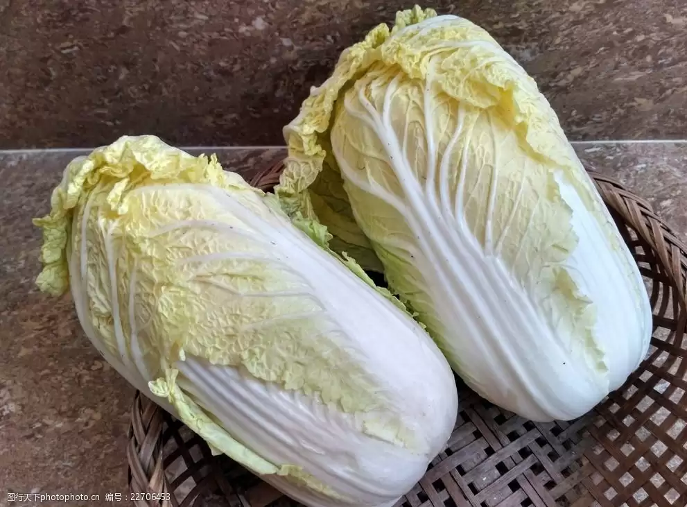 种白菜的行距是多少(白菜种植行距全解析)-会东网