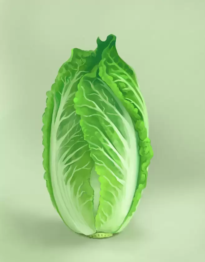 白菜种选购指南:如何挑选优质白菜种子-会东网