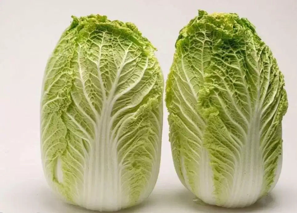 小白菜的种植技巧：从选种到收获的全流程指南-会东网