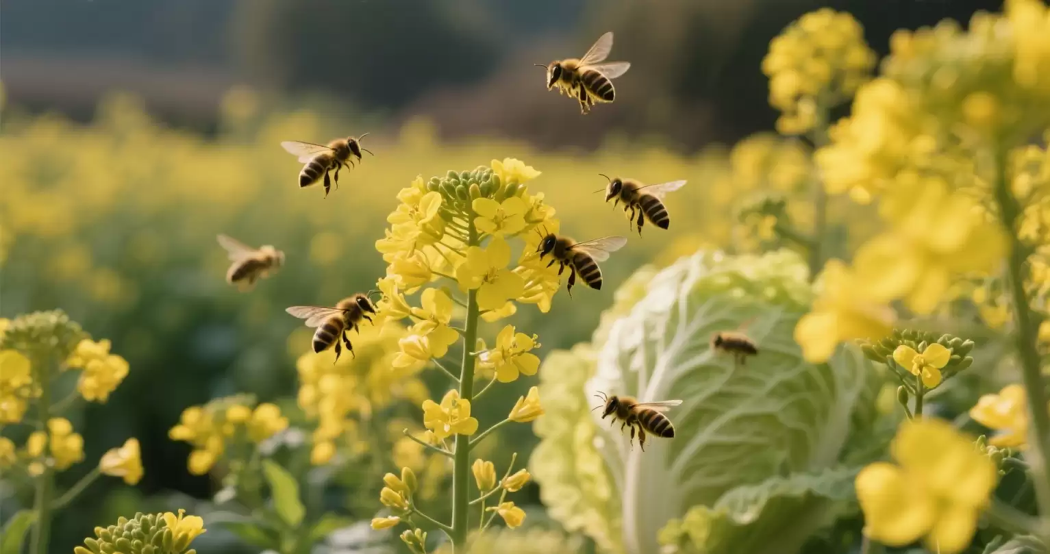 为什么小白菜刚种就开花？揭秘小白菜早花现象及防治方法-会东网